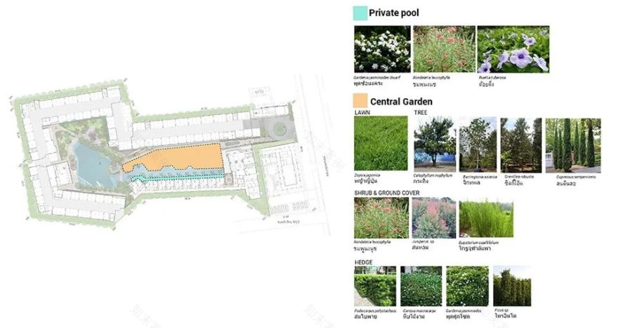 华欣异域风情滨海度假社区 · La Casita Huahin丨泰国丨Shma Company Limited-101