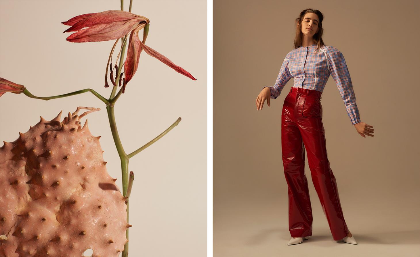 Jaeha AW 2017 自然灵感设计-8