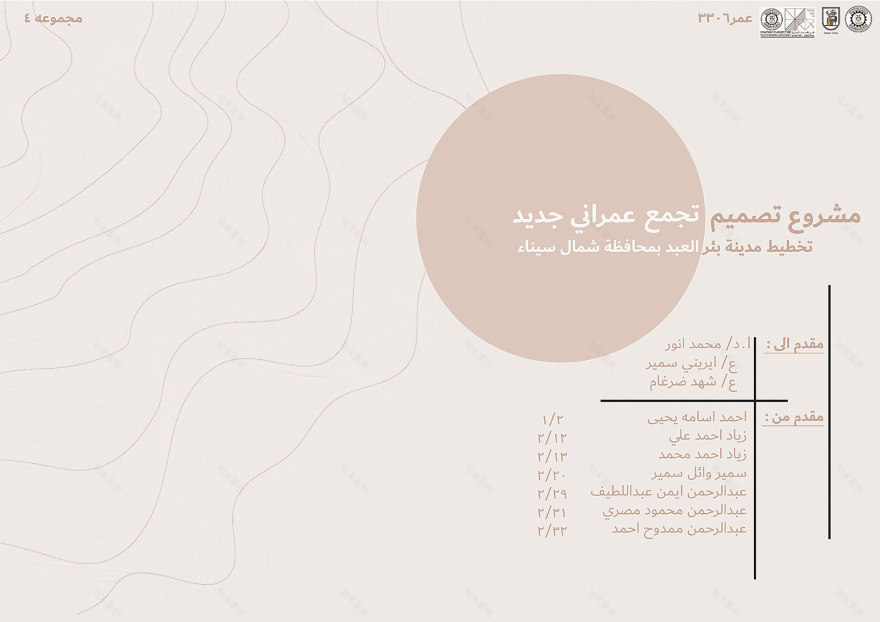 BIR EL ABD 城市规划丨开罗大学工程学院建筑系-6