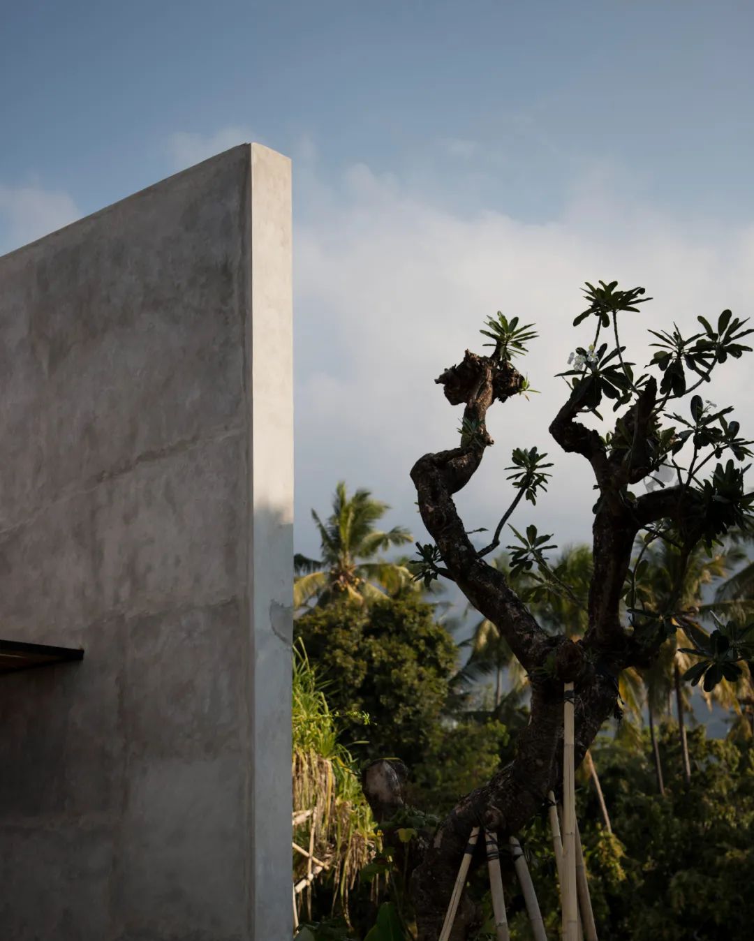 澳大利亚建筑事务所 Nic Brunsdon 的历史追忆与构建-58