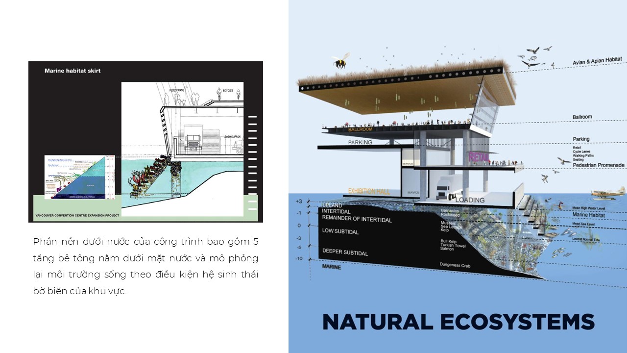 TRUNG TÂM HỘI NGHỊ PHÍA TÂY VANCOUVER-12