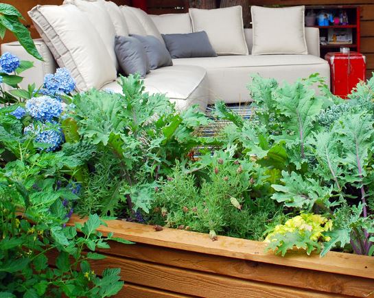 后院小型休闲花园设计丨Mark S. Garff-7