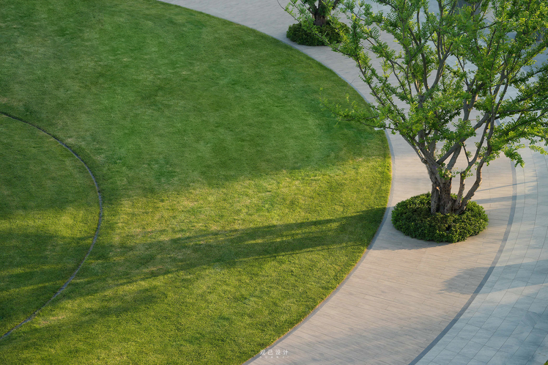 乘着旷野的风 | 中国铁建花语江南-110