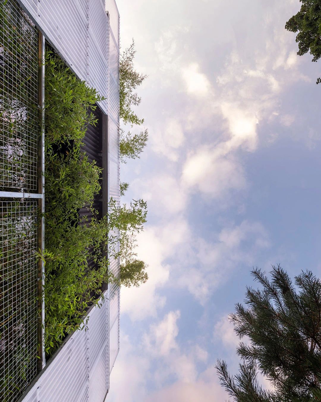 伦敦低碳家庭“温室”住宅丨英国伦敦丨工作室总监 Jonathan Nicholls-24