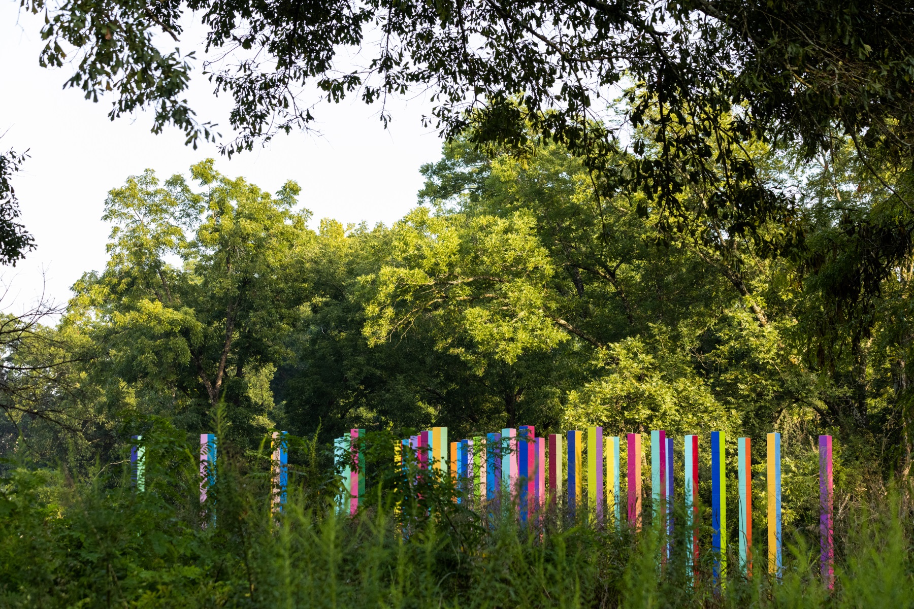 彩虹森林丨美国丨Office Kovacs-7