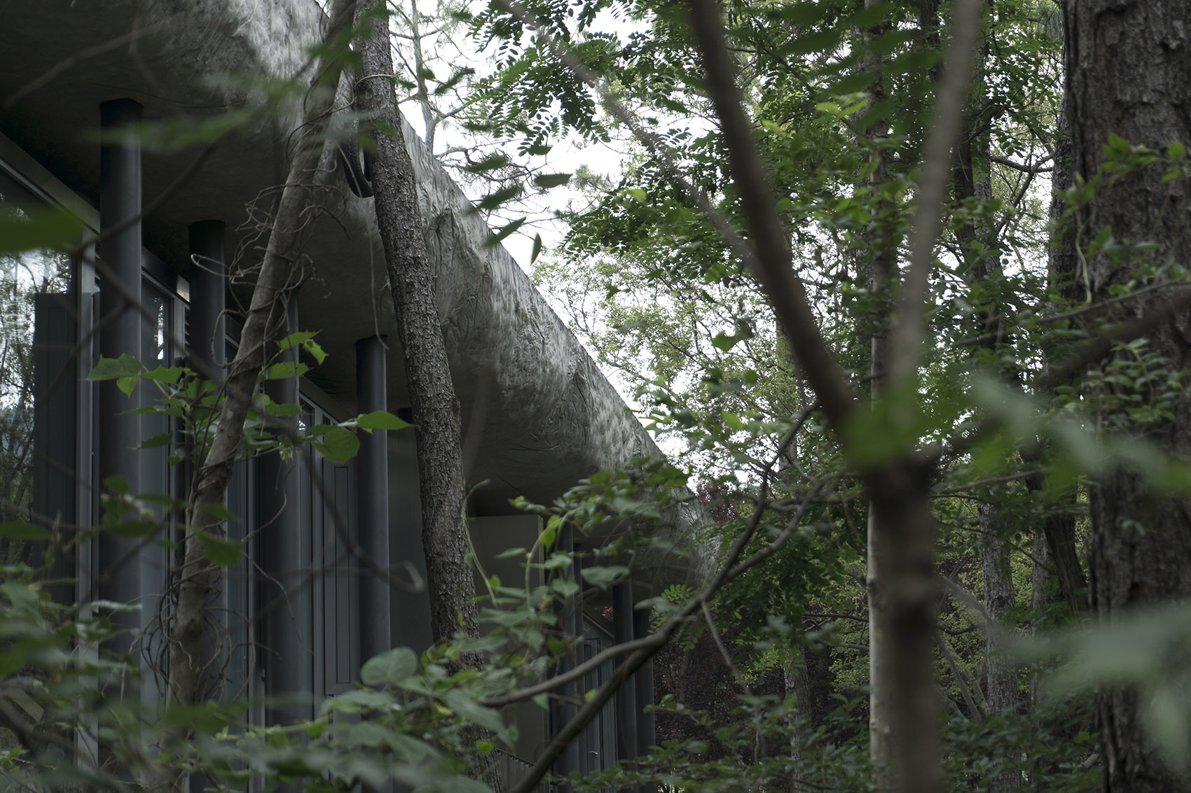 谷里的窗,树上的云,南京四方艺术湖区公共卫生间丨中国南京丨南京大学建筑规划设计研究院有限公司 物物建筑-78