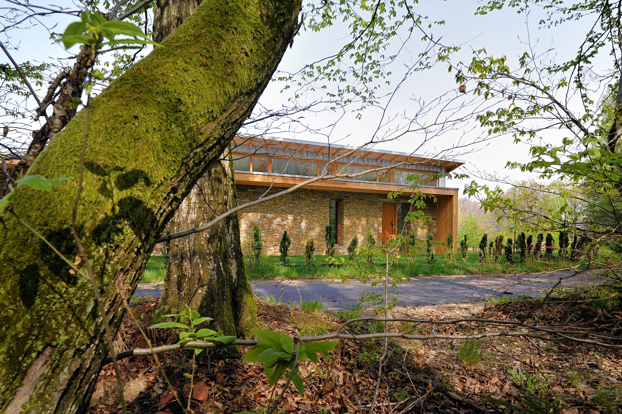 森林边缘的梦幻家园-7