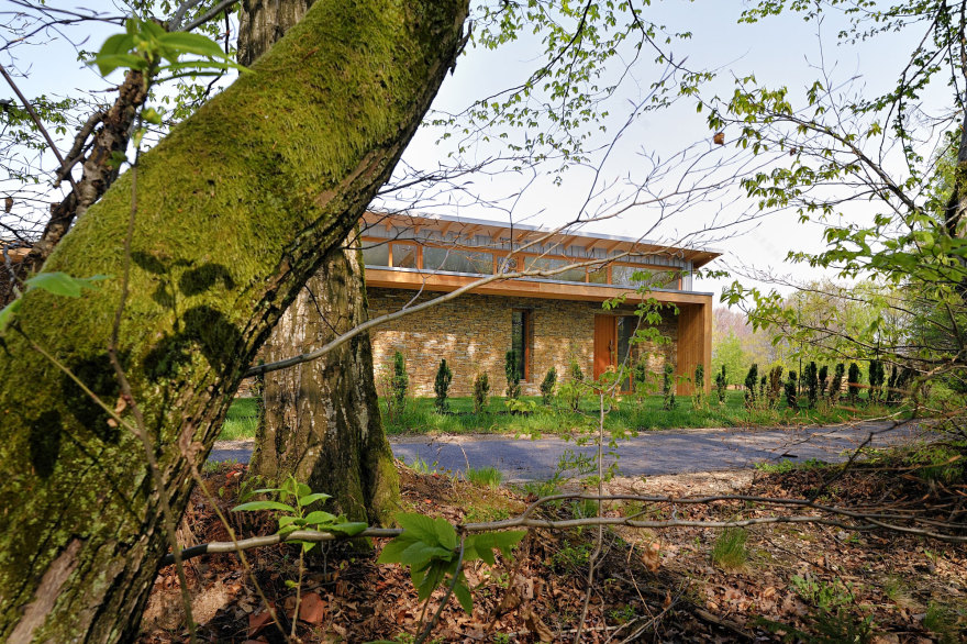 森林边缘的梦幻家园-7