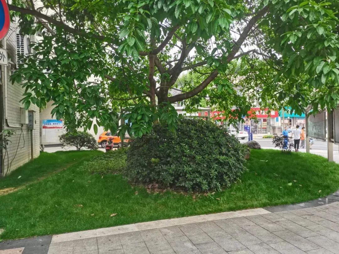 蒲江新锐智慧驿站卫生间丨中国成都丨成都多维设计事务所-13