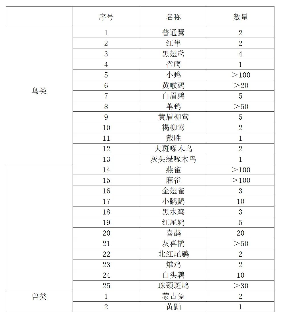 北京绿心公园生态保育区设计丨中国北京-47