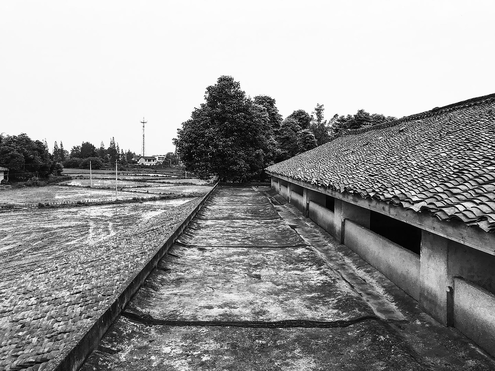 安仁华侨城南岸美村老酒坊改造,四川 / 乡伴朱胜萱工作室-24