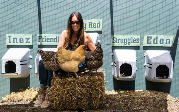 加利福尼亚Pettigrew庭院前后改造项目丨美国加利福尼亚丨Michael Callan-25