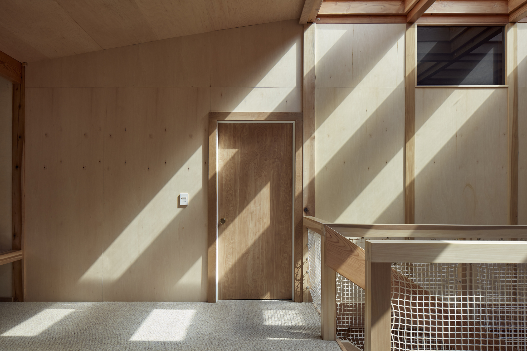 杨树丛丨美国华盛顿丨BLDUS-55