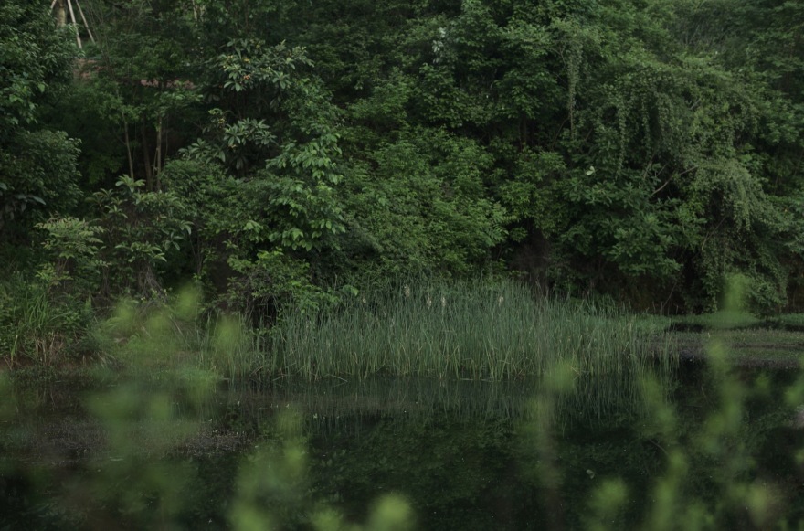 麓野公园丨中国成都丨四川乐道景观设计有限公司-101