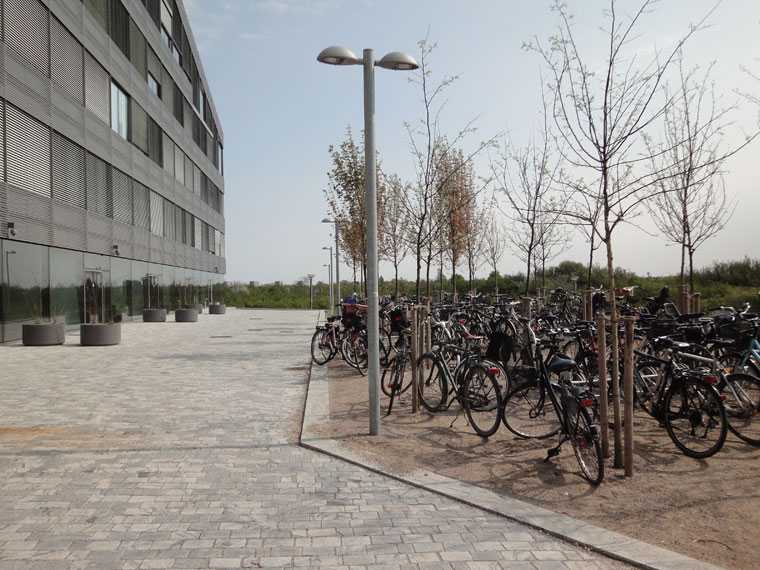 RAMBOLL的总部景观 by schonherr-4