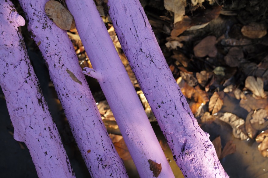 川行,CROSSING MEMORY丨中国广州丨北京林业大学 + LAIBA STUDIO-43