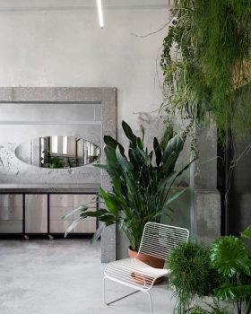 Dicentra Rina Lovko Studio