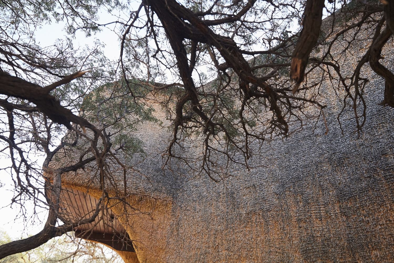 The Nest 民宿丨德国丨Porky Hefer Design-27