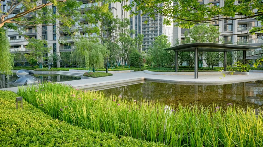 西雅图(云谷公寓)-7