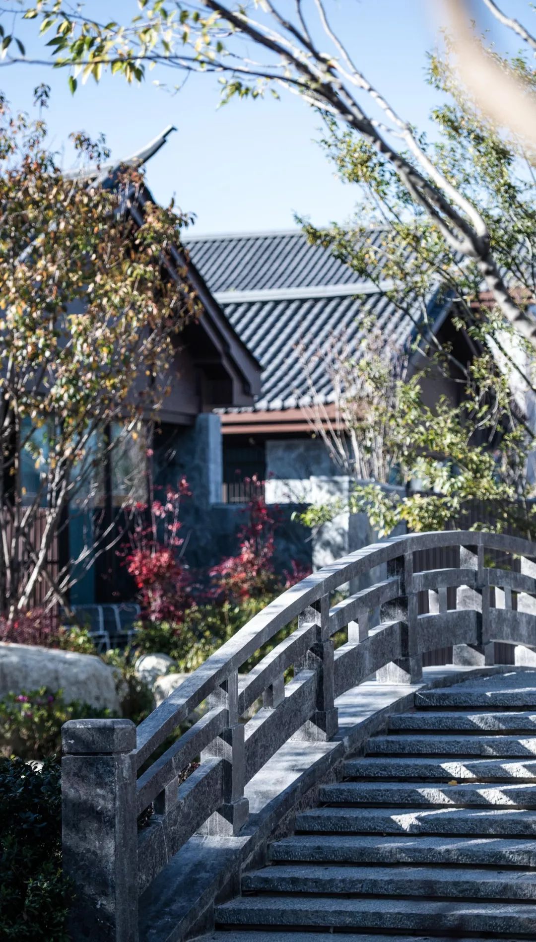 入世而出尘丨云南白药·大理健康养生创意园-53