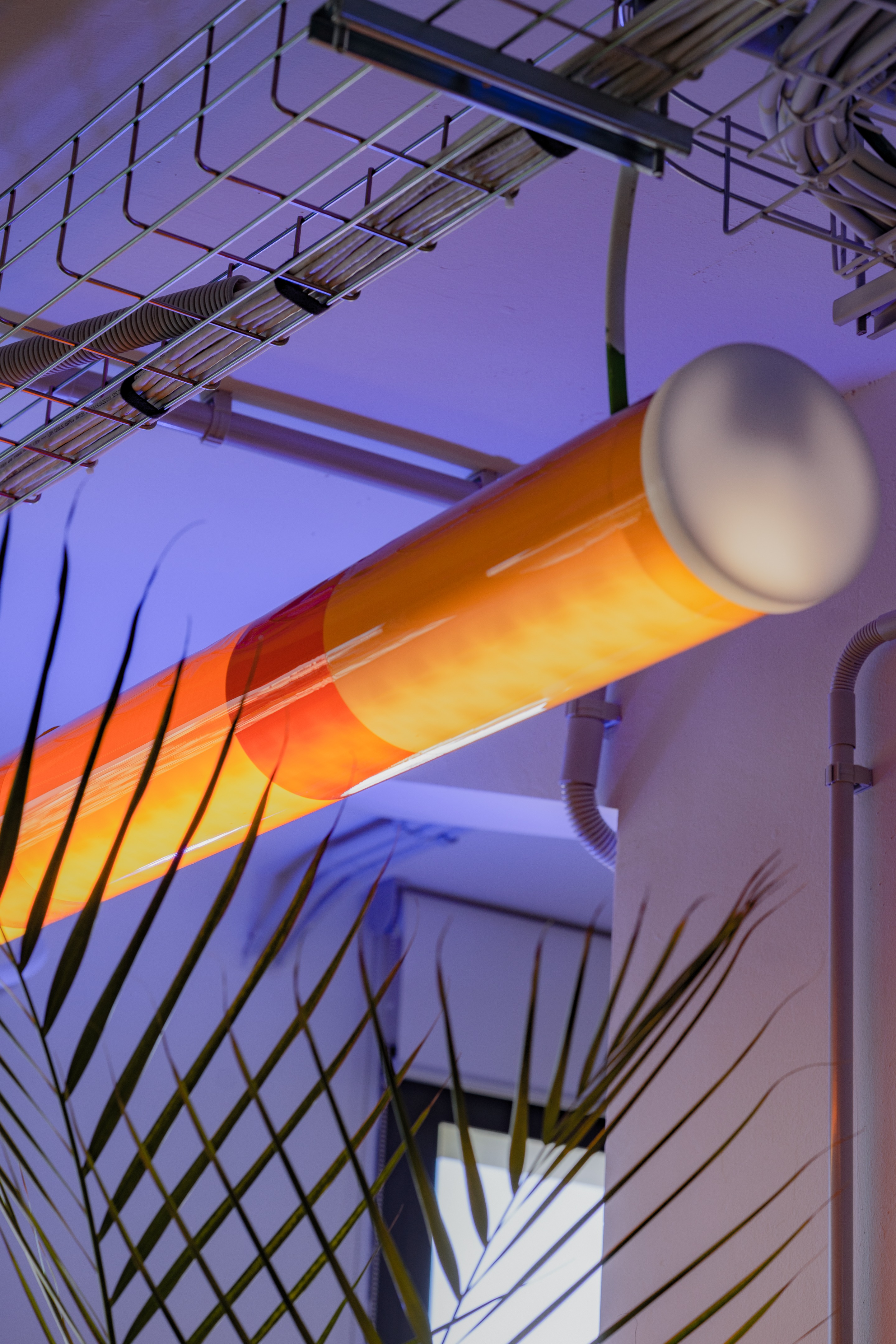 巴塞罗那 Xcelirate 总部丨西班牙巴塞罗那丨Lagranja Design-15