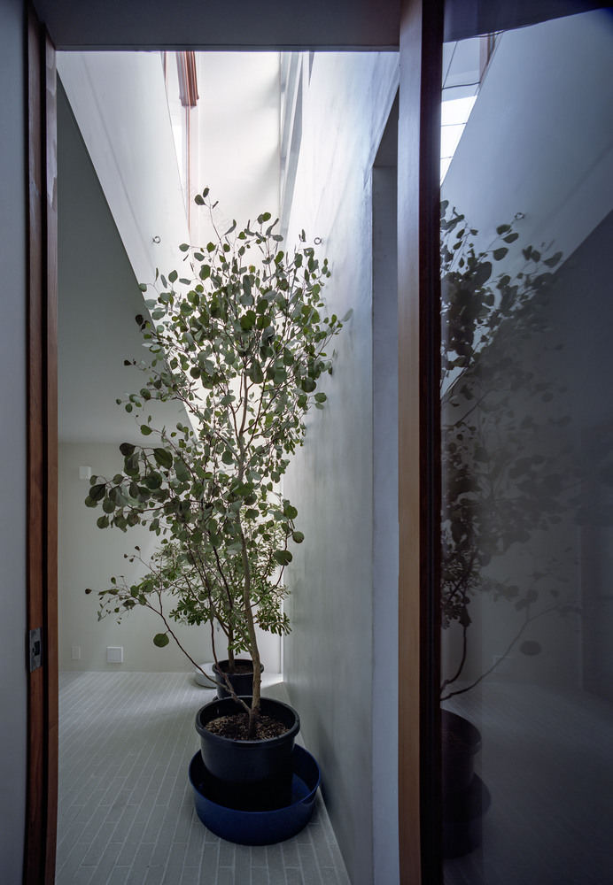 大阪长条形住宅丨日本大阪丨FujiwaraMuro Architects-31