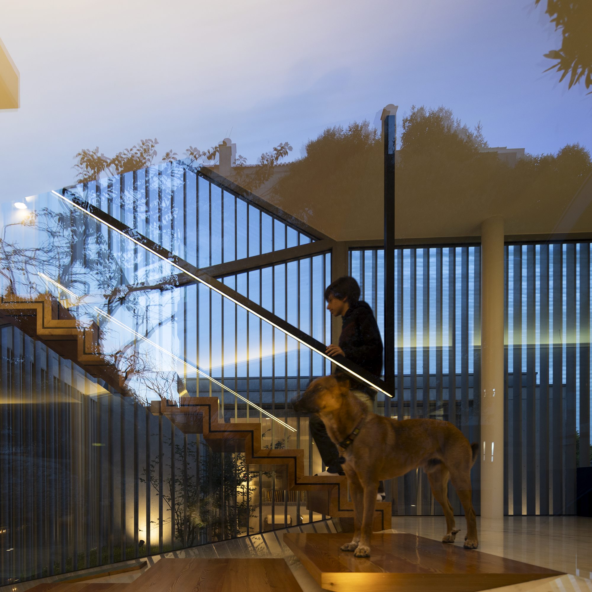 GC House | FCC Arquitectura-147
