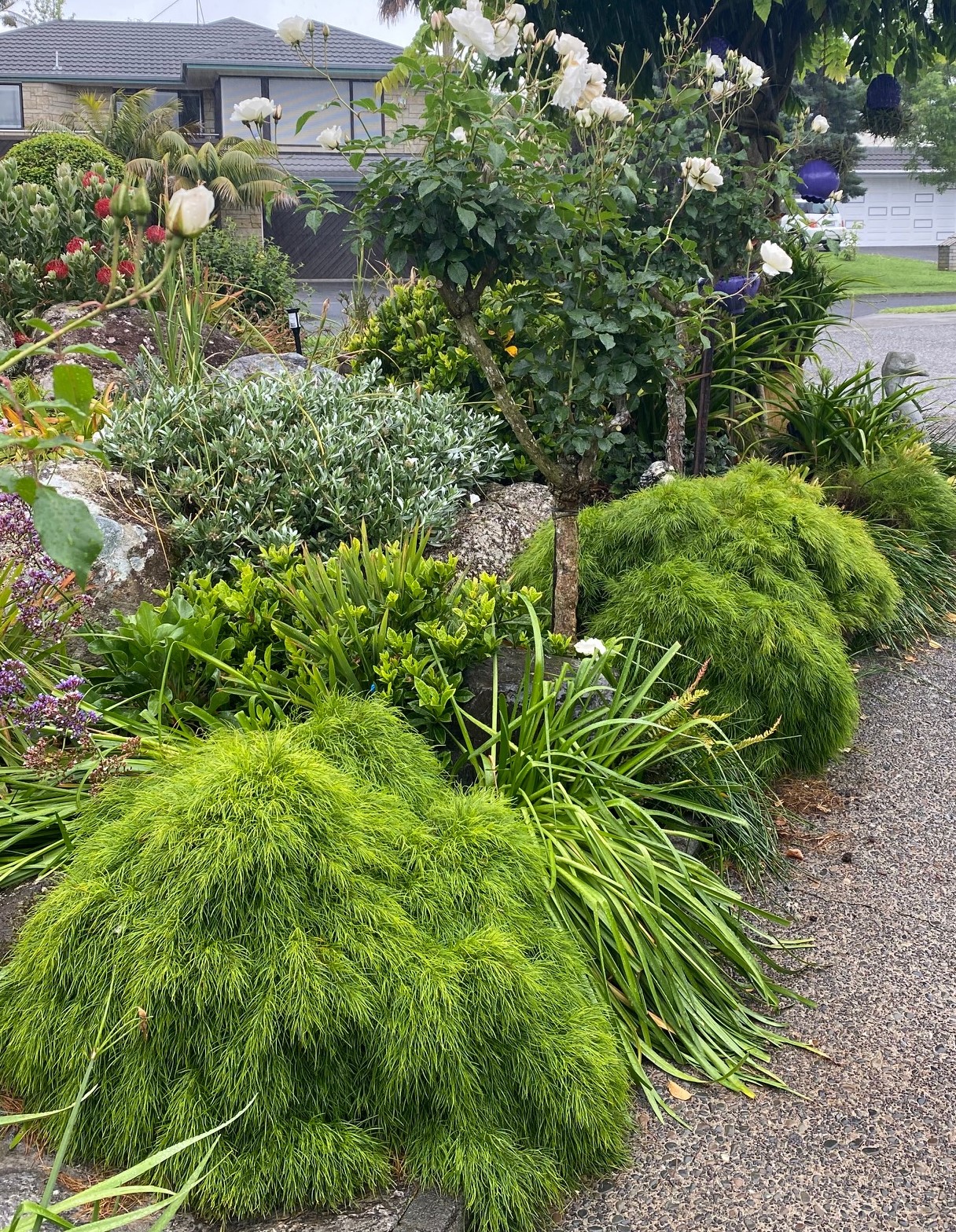 TwoConnect私人花园丨New ZealandAuckland丨Mary和Mark Jones-15