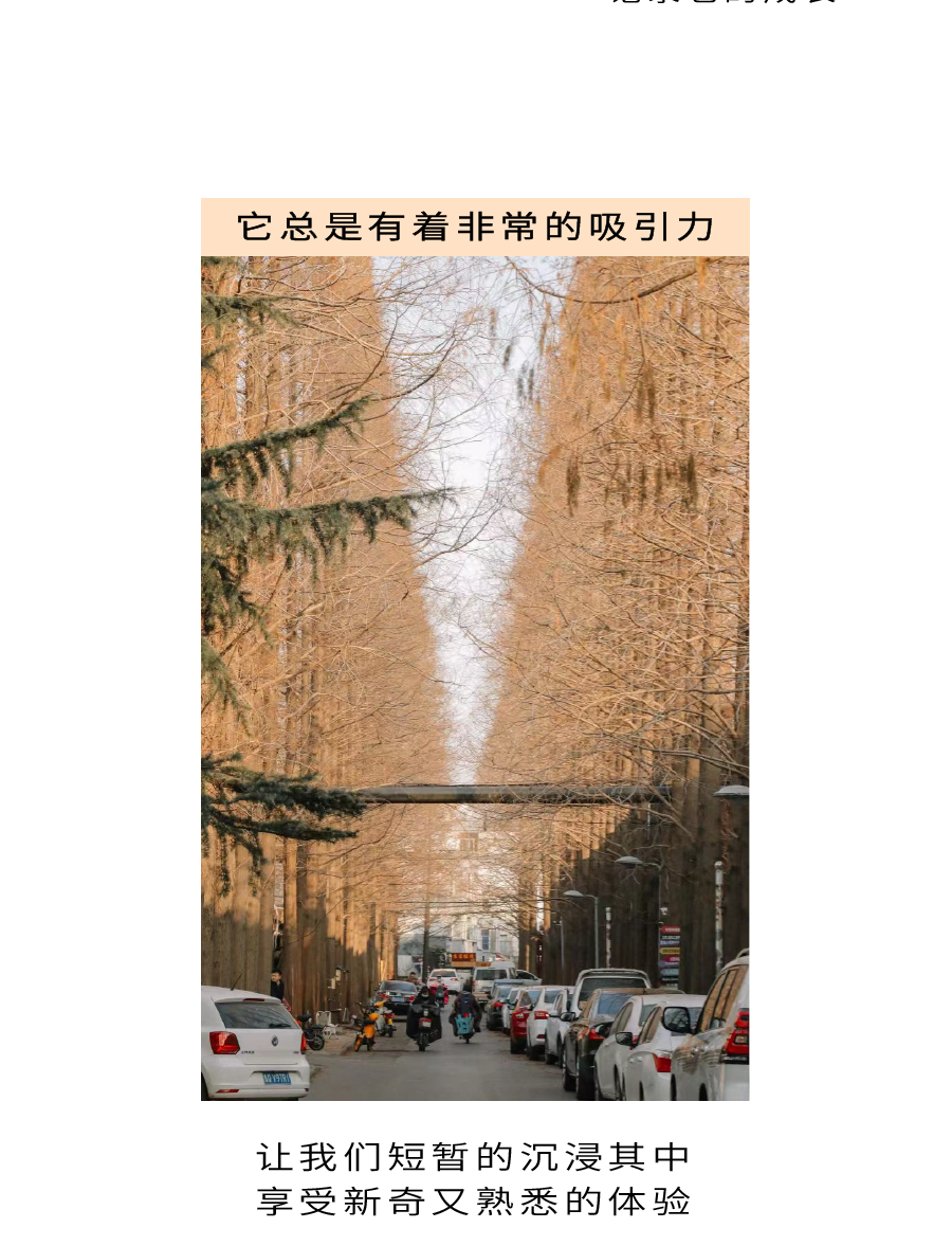 山东，临沂首店 | 初见有礼！-4