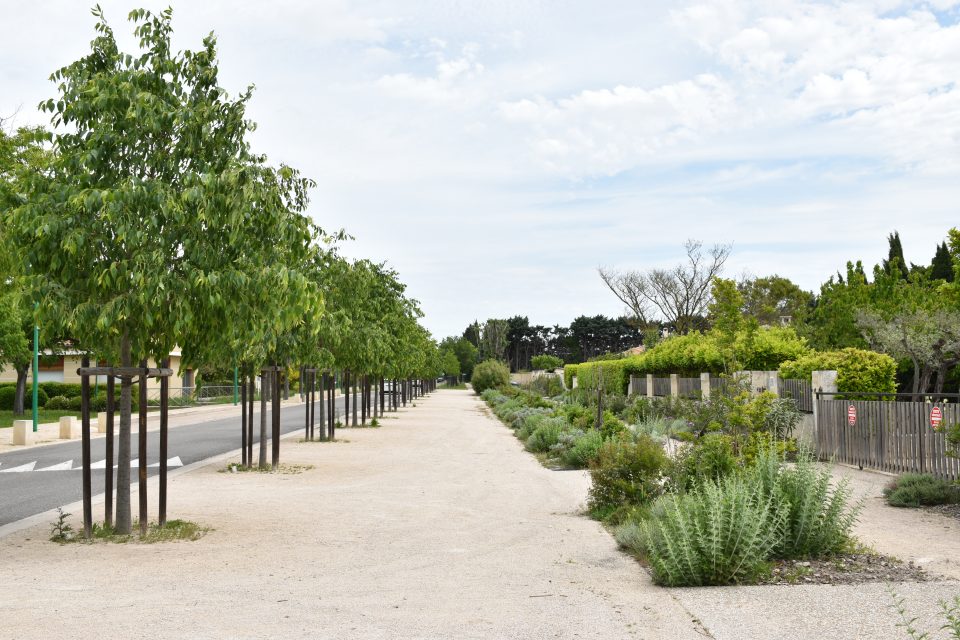 Verquières村庄入口,广场及花园改造项目丨Martel et Michel景观设计师-1