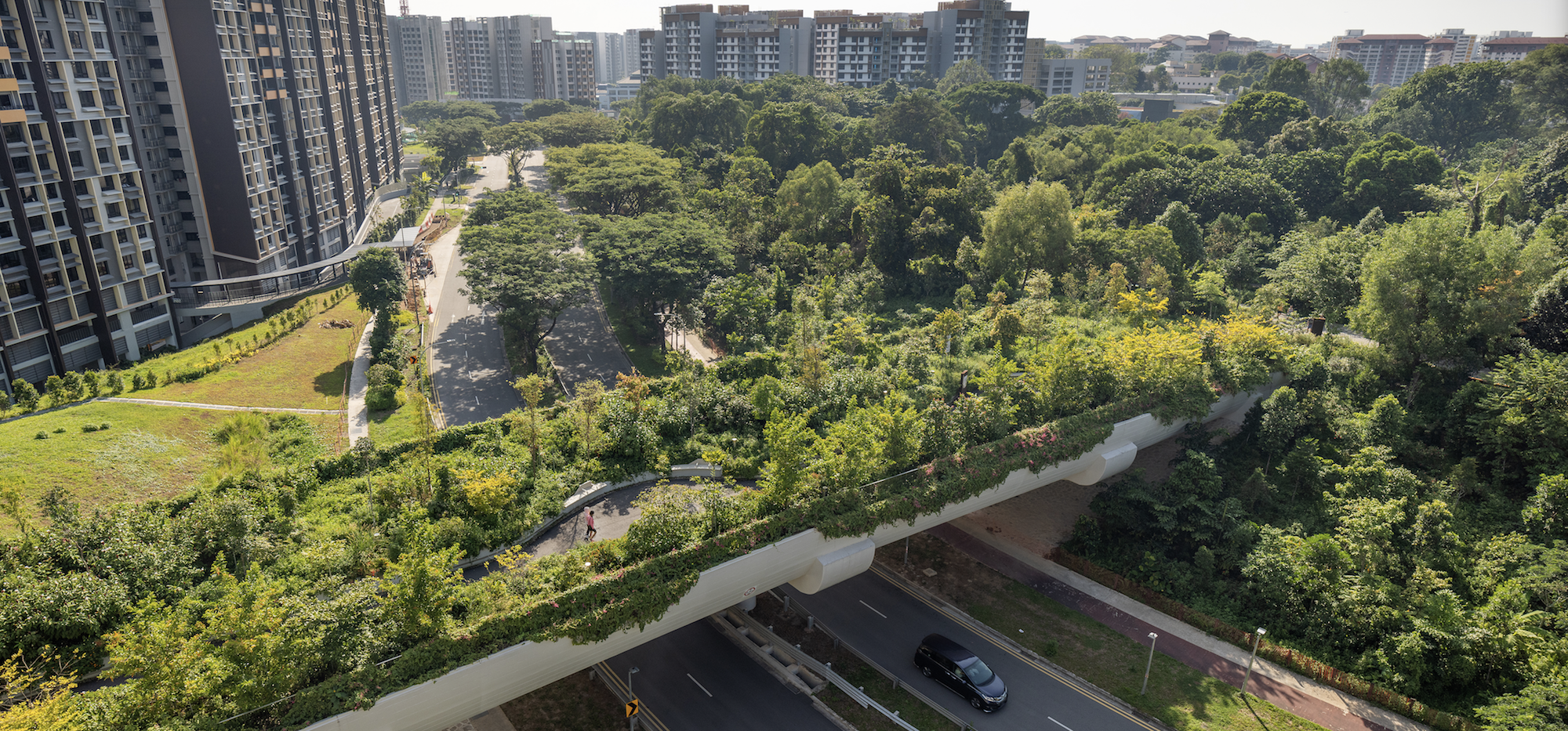 比达达利公园丨新加坡-14