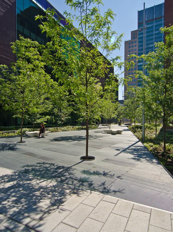 魁北克水文公园-10