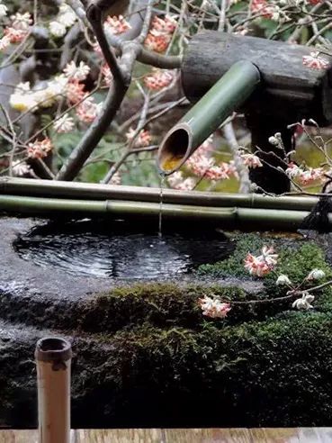 禅意庭院 · 小水景-10