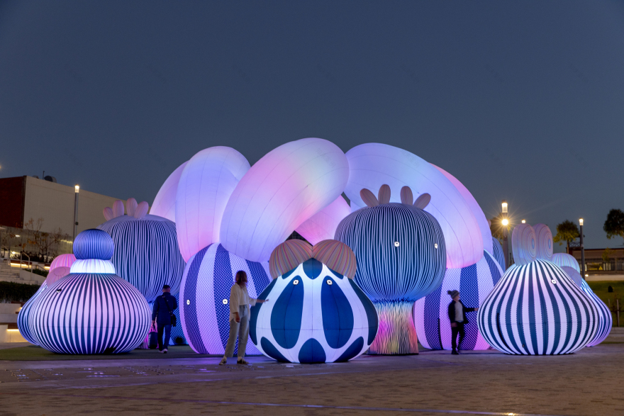 飞艇管弦乐队丨澳大利亚丨ENESS-26