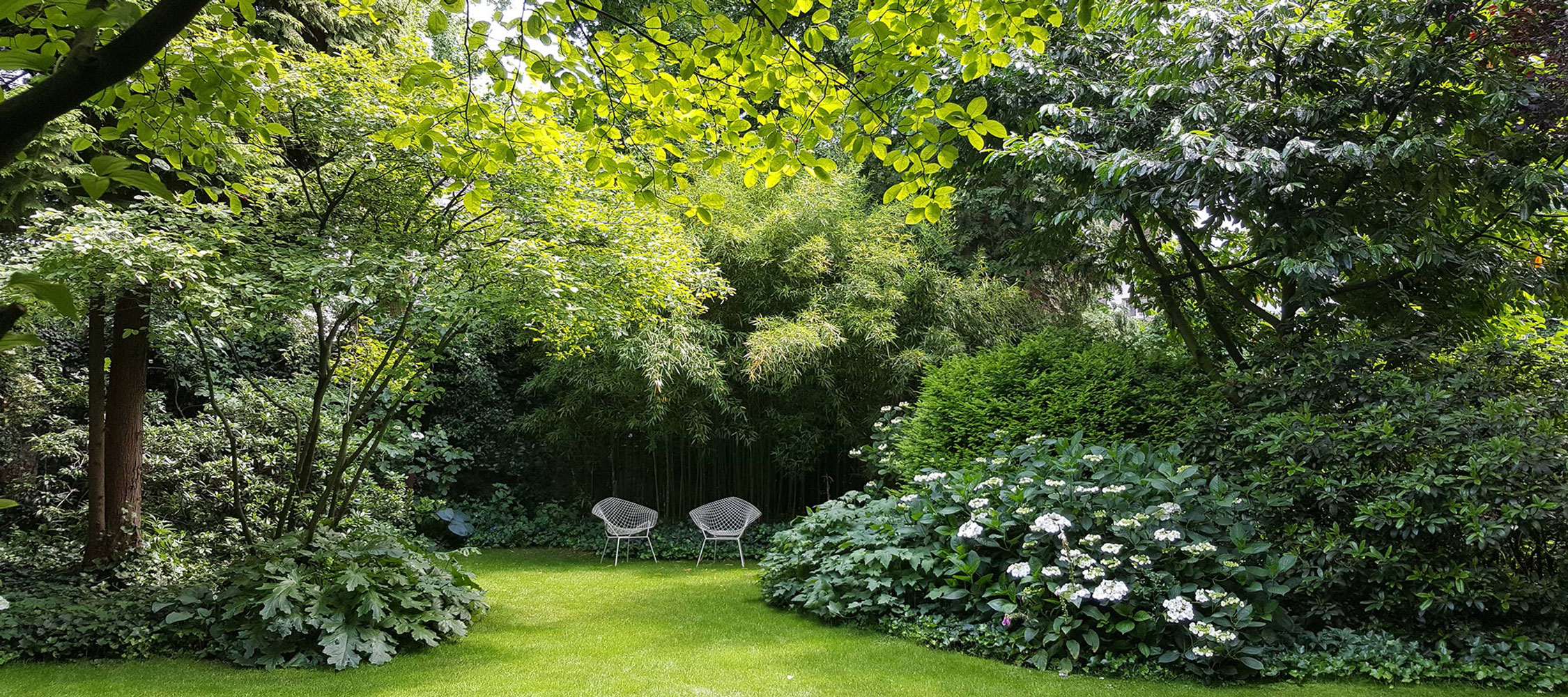 都市绿洲 | 德国杜塞尔多夫城市花园-0