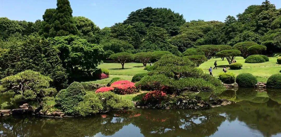 园林景观植物绿化设计方法解析-24