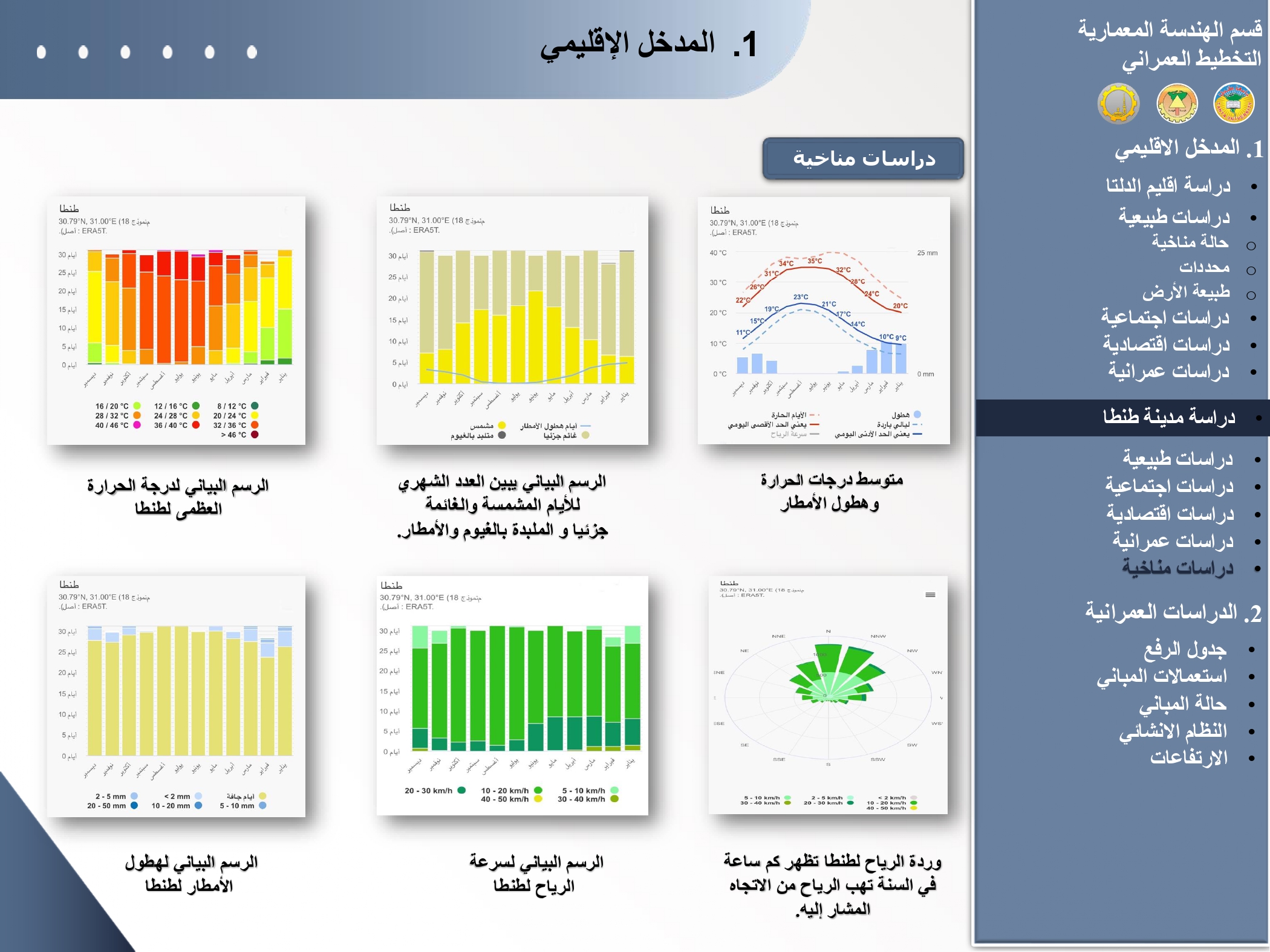تخطيط وتطوير لشارع حسن رضوان بطنطا-8