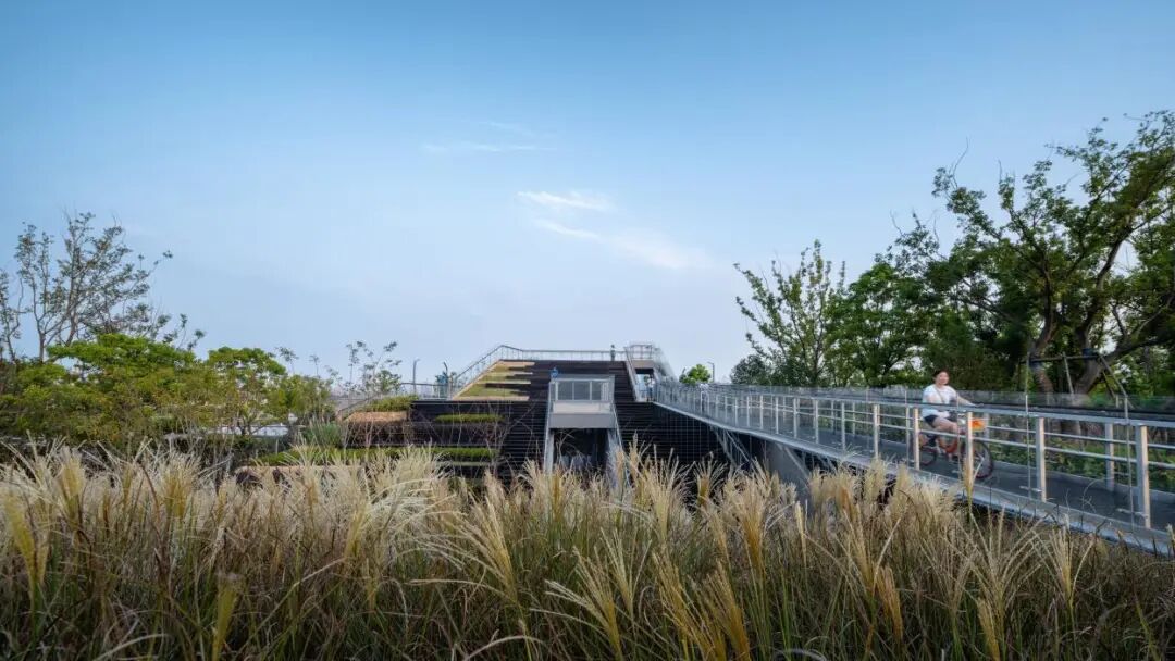 从功能至上到融入公共生活——南京江心洲排涝泵站-48