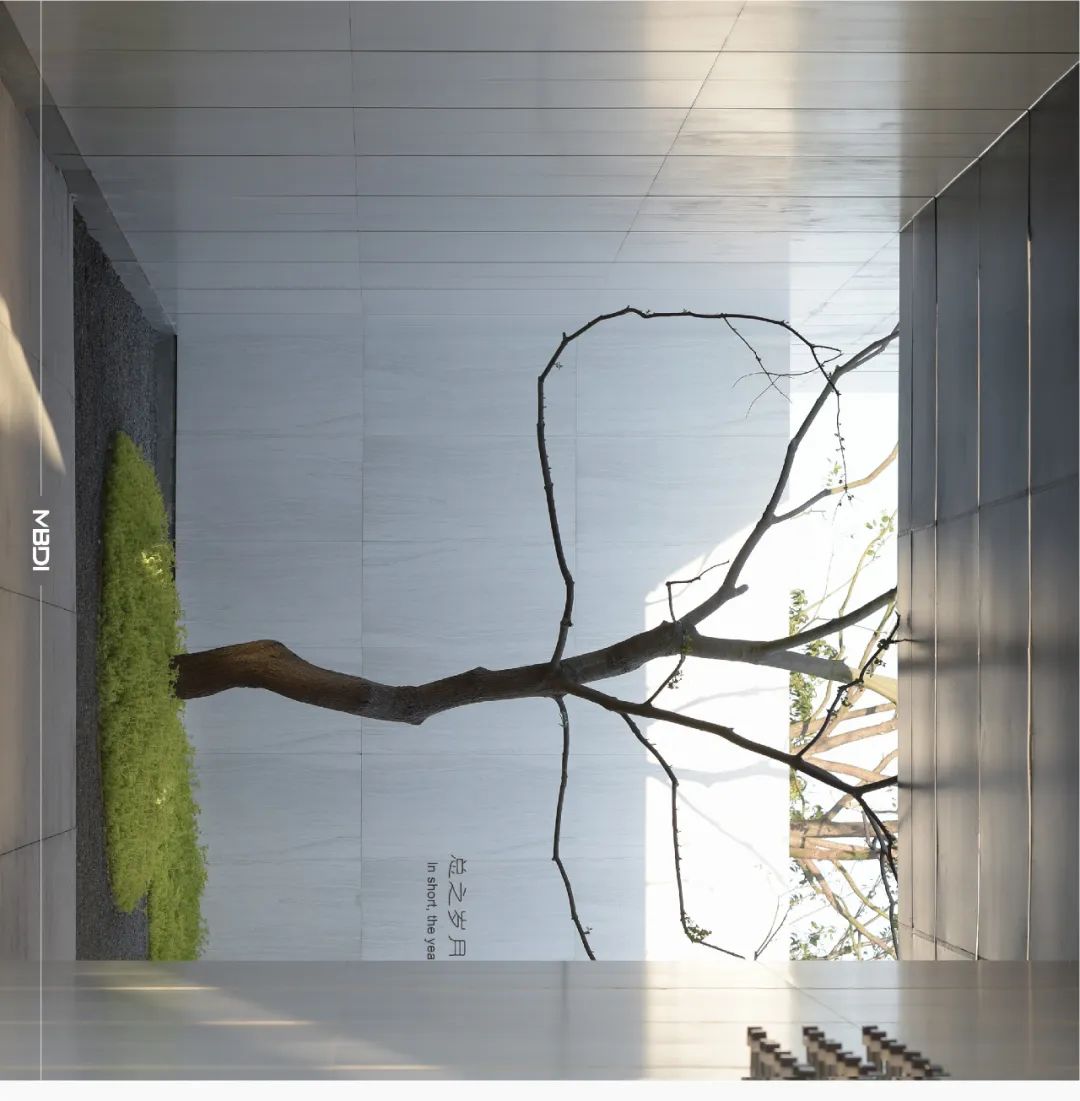 “城市山林” | 苏州·正荣春栖和庭-19