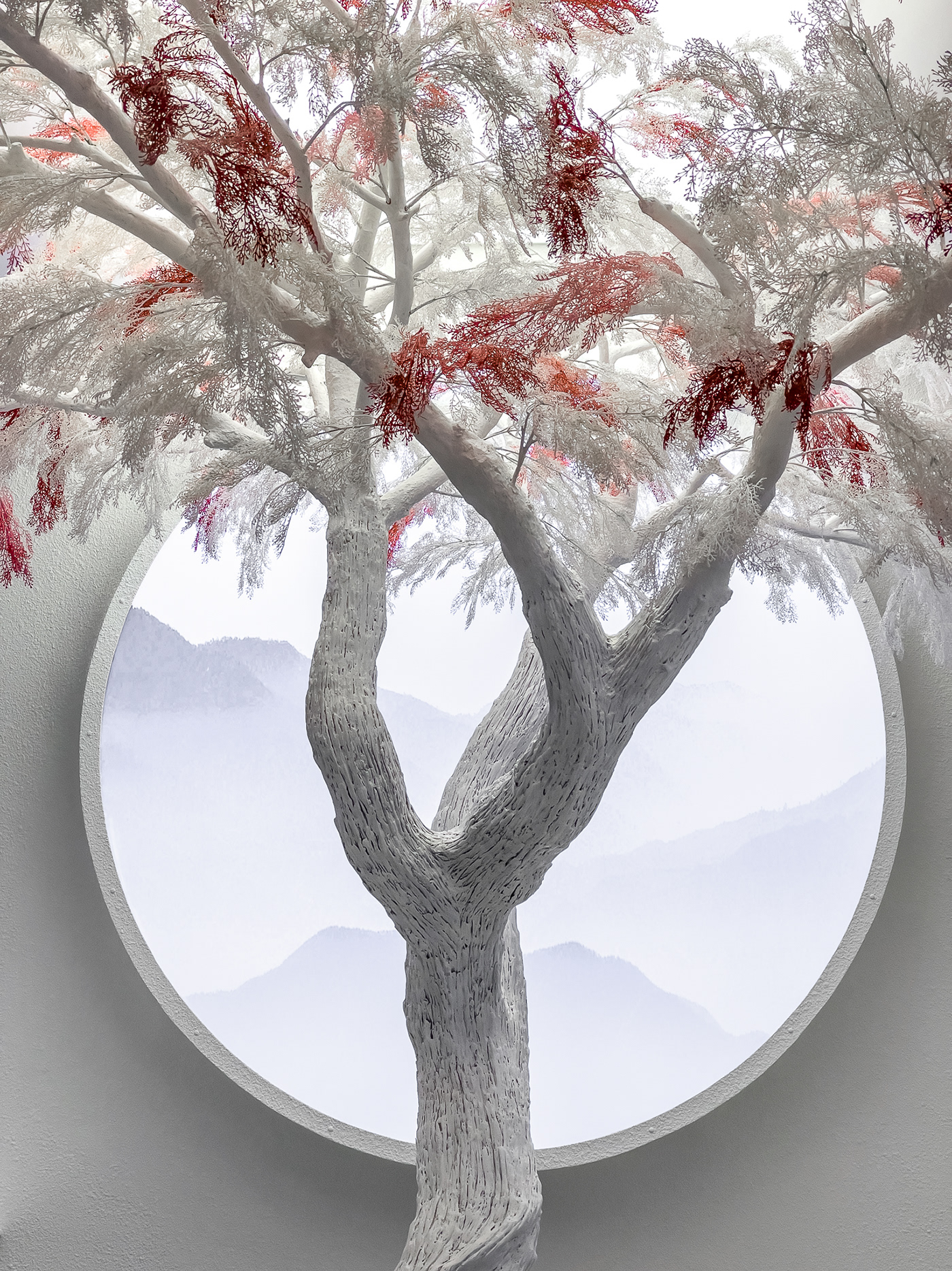 SHIROi Omakase 餐厅丨泰国曼谷-1