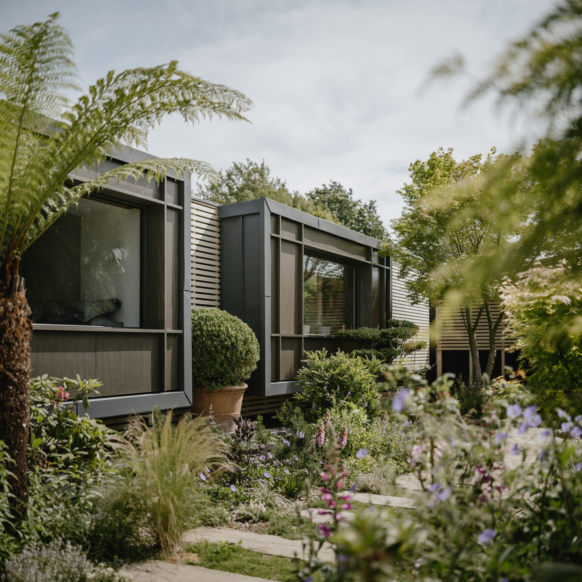 漂浮屋丨英国伦敦丨Tigg + Coll Architects-17