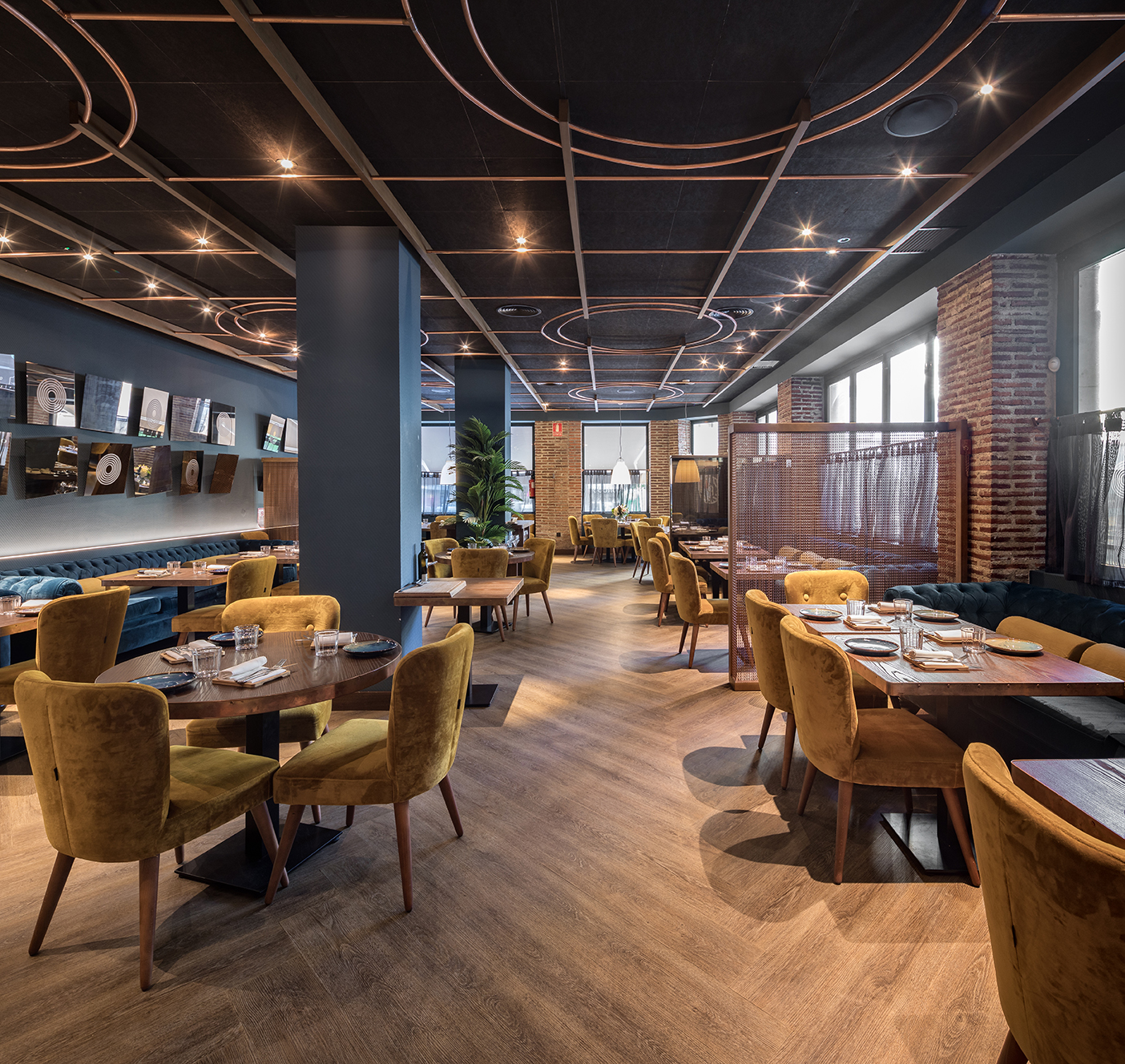 Malaga 知名餐厅设计丨西班牙丨Paco Lago 等-12