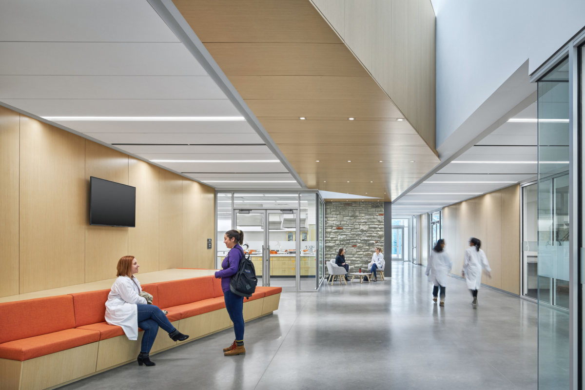 布雷西亚大学学院学术馆-9