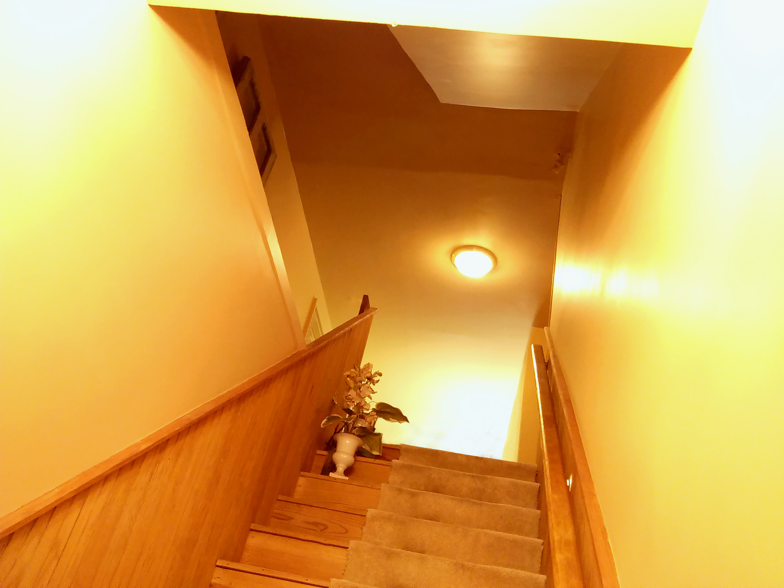 复古复兴 | 19 世纪 50 年代美国宾夕法尼亚州小威尼斯建筑群-97