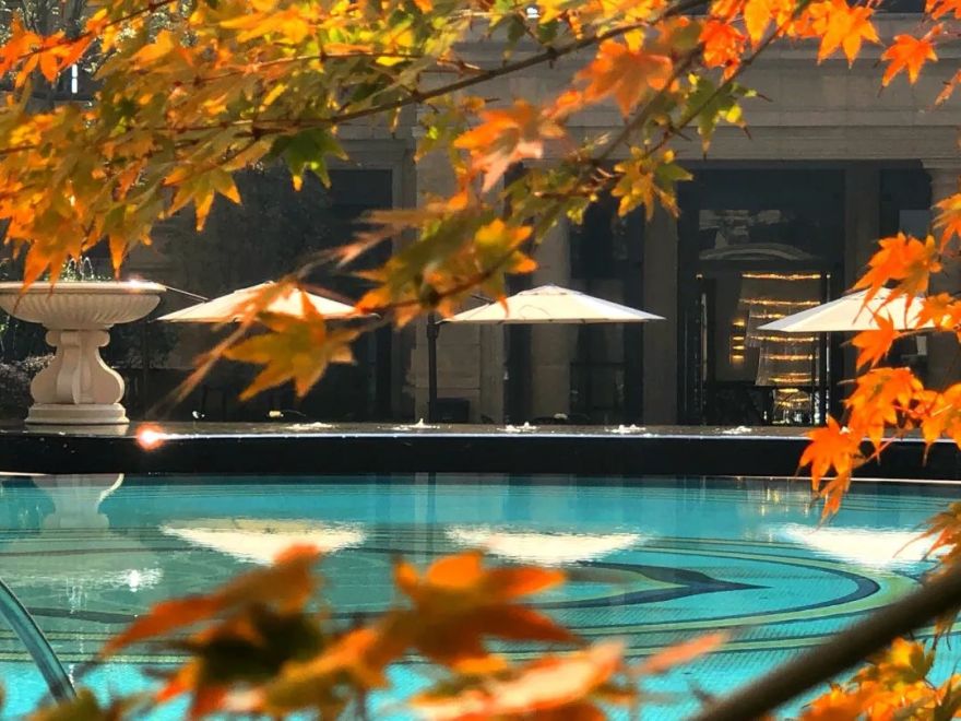 这是一次或将改变你生活的推荐!-20