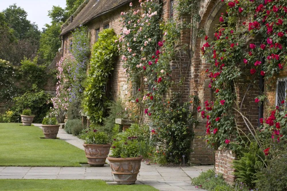 一个设计，一个栽种，夫妻协力打造的复古花园-44