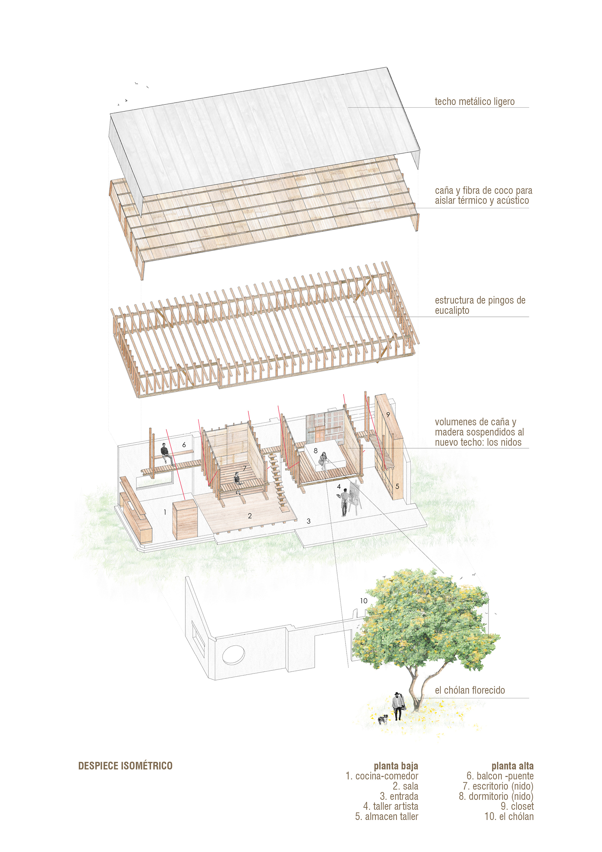 乔兰雀巢屋丨厄瓜多尔丨Daniel Moreno Flores 等-50