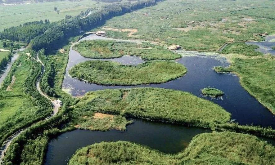 绿色智慧生活样本 | 乡愁记忆的新区实验区-7