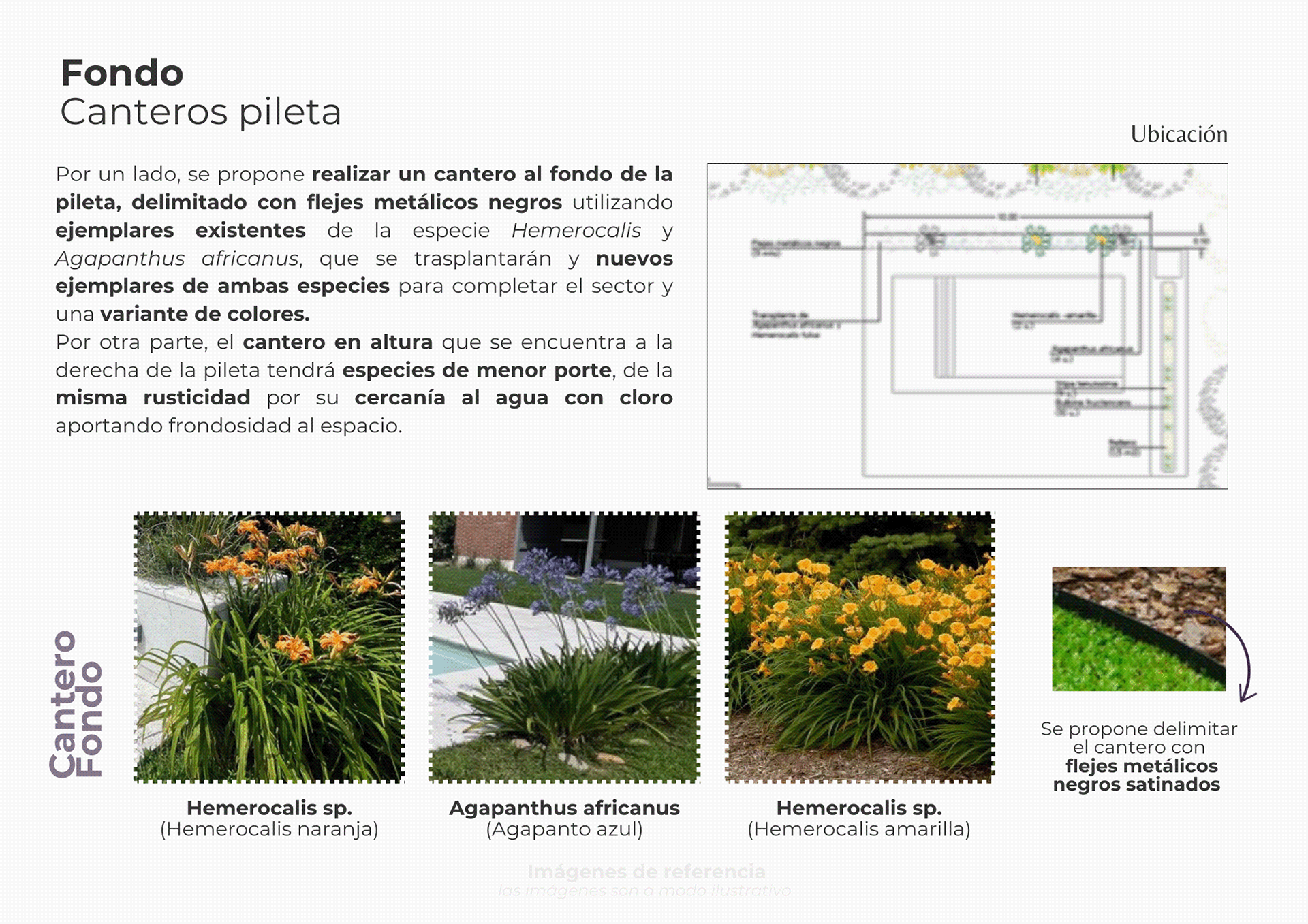 Multiespacio | Proyecto freelance-6