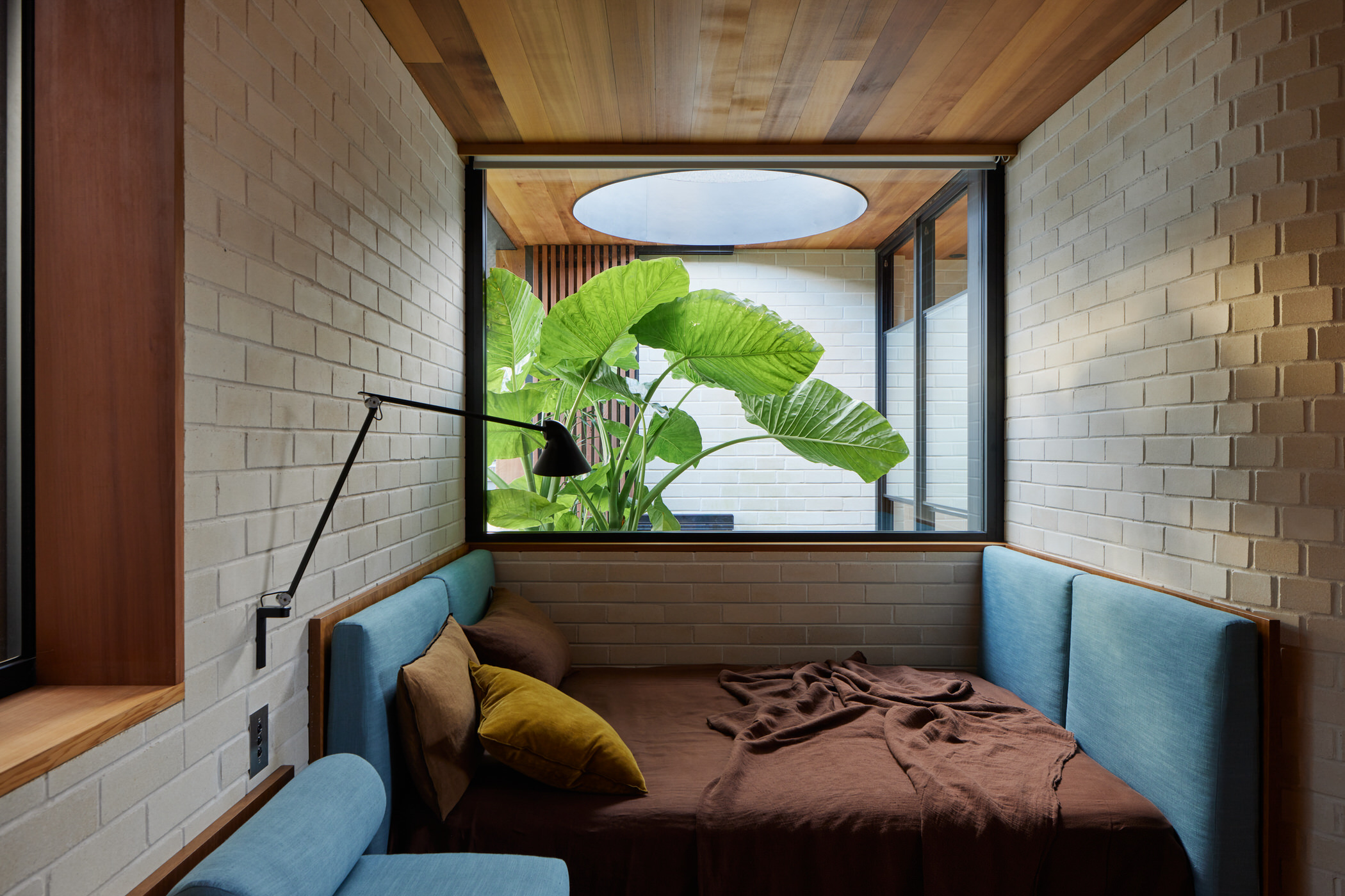 Castlecrag Courtyard 住宅丨澳大利亚悉尼丨Downie North Architects-44